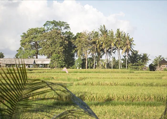 リゾート Soulshine Ubud, Bali